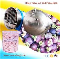 De Beste Xinyang 125m2 Vriesdrogende Fruitmachine