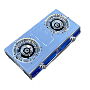 Réchaud à biogaz portable à double brûleur en acier inoxydable pour la maison, l'extérieur, les camping-cars et les voitures - Product Image 3