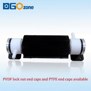 Tubo Cerámico Refrigerado por Aire de 5g/h para Generadores de Ozono, 5g PTFE/PVDF, Tamaño Compacto, Peso Ligero, Fácil de Integrar en Conductos de Aire y Unidades de Aire Acondicionado - Product Image 6