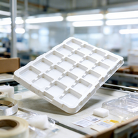 Custom Embedded Blister Tray Vacuum Formed Plastic Tray for Consumer Electronic Components Sorting Storage Factory Circulation
