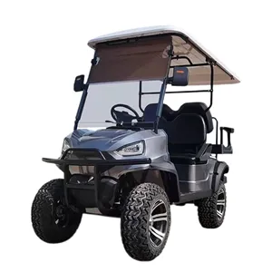 温陶低速廉价电动高尔夫球车UTV和卡车
