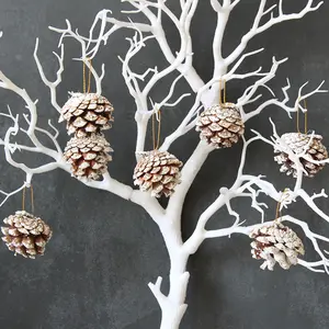 Weihnachts kiefern frucht dekoration DIY gefärbte weiße chinesische Kiefern kranz Material getrocknete Früchte