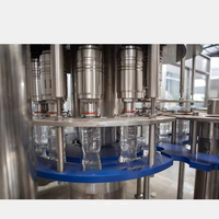 Geavanceerde productielijn voor fruitdranken met sapcentrifugeermachine voor dranken, gel en puur water vulmateriaal