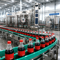 Ligne de production entièrement automatique de boissons gazeuses en bouteille PET, machine de lavage, de remplissage et de bouchage, équipement de traitement complet