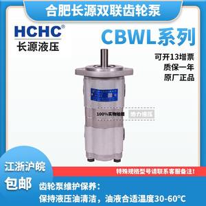 Bomba Hidráulica de Doble Engranaje Nueva HCHC Hefei Changyuan CBWL-F310/F304-ALP - Product Image 5