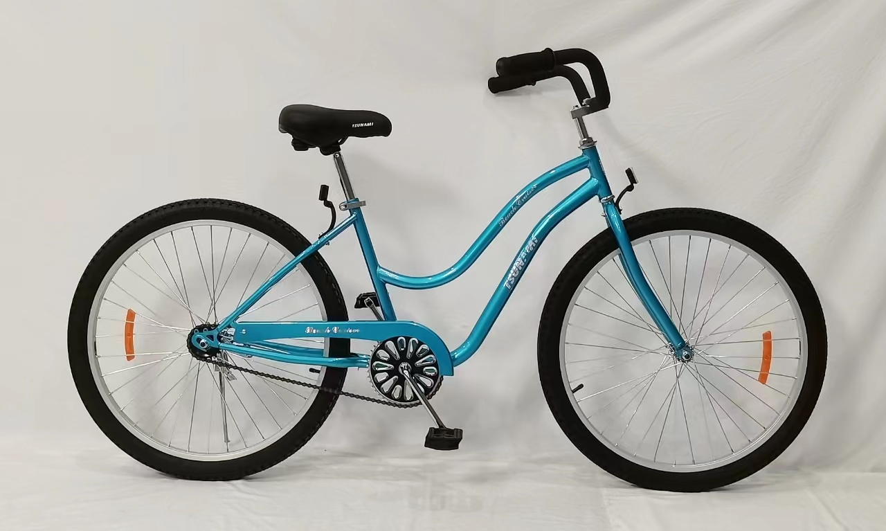 electric bicycle battery pack City Robin X+ Ebike Battery  Extended Range Power | Euphree 10Ah Battery