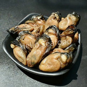 Auténtica ostra seca con carne regordeta, un manjar de mariscos delicioso y rico en umami - Product Image 5