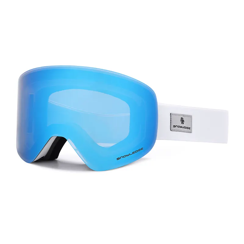 Custom Volwassen Skibril Uv400 Tpu Frame Met Verstelbare Riem Anti-Mist Snowboarden Brillen In Rood Roze Groen Oranje Grijs