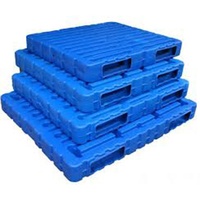 Máquina de Moldeo por Soplado Automática de 2 Capas, Económica, de 1.2*1m, para Palés de Plástico HDPE