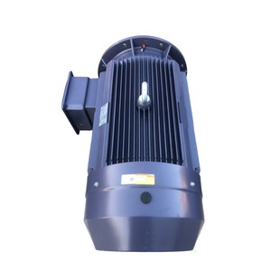 Motores Bede Motor - Product Image 4