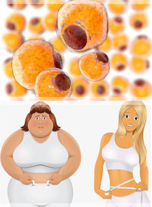 Vendita in fabbrica dell'enzima lipasi lipasi per uso alimentare CAS 9001-62-1 - Product Image 2