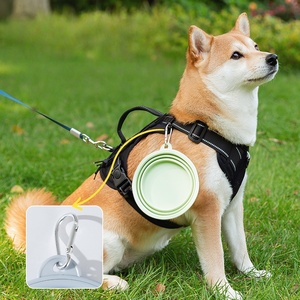 Vajilla portátil plegable de silicona de tamaño pequeño para perros, cuenco de sujeción para uso al aire libre para mascotas - Product Image 3