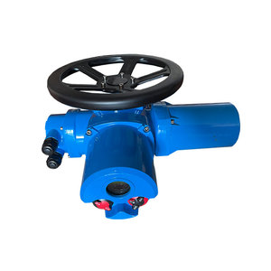 มอเตอร์ควบคุมการไหลแบบ DZW-20 สำหรับน้ำ  รุ่น OEM ปรับแต่งได้  พร้อมตัวกระตุ้น Dzw-20 Hq รุ่น Hq-006 - Product Image 3
