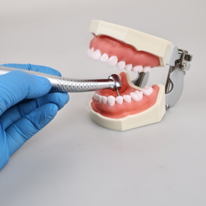 Turbina <span class=keywords><strong>Dental</strong></span> Eléctrica de Alta Velocidad con 5 Luces LED, 5 Chorros de Agua, Aluminio, Fuente de Alimentación, Preparación de Cavidades ELIJAH CYC224 - Product Image 5
