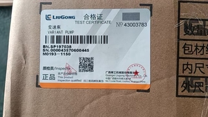 Pompe à vitesse variable compatible Liugong SP197038 pour pelle et chargeuse sur pneus – Pièces de machines de construction directement de l'usine - Product Image 5