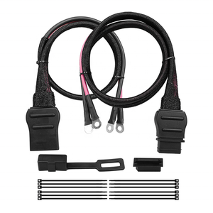 Cable de batería de 2 pines, arado y lado del camión para Western Fisher Snowplow 21294 61169 61548 8274, arnés de cableado para quitanieves, Cable para quitanieves - Product Image 1