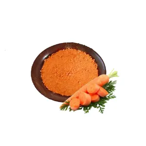 有机产品QYHerb供应优质纯有机散装胡萝卜汁粉产品低价出售