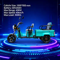 Triciclo Elettrico Innovativo per Trasporto Passeggeri, Veicolo a 3 Ruote con Capacità di Carico 200-300kg, Certificato EEC/DOT/GCC