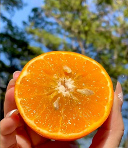 Oranges fraîches 10 kg, agrumes avec une durée de conservation d'un an, provenant du Jiangxi, Chine - Product Image 1