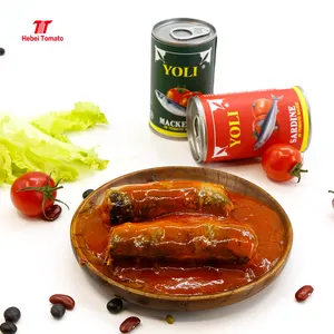 Factory supplier halal mackerel tin fish canned fish in tomato sacue