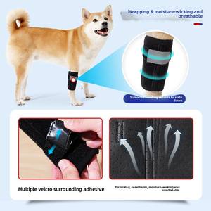 La nuova gamba flessibile del cane copre l'equipaggiamento protettivo ausiliario Anti-urto per cani anziani che ammortizza le lesioni articolari per animali domestici - Product Image 4