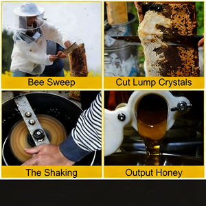 Nuovo Estrattore di Miele Elettrico <span class=keywords><strong>a</strong></span> 3-6 Telai con Garanzia di 1 Anno - Product Image 6