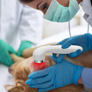 A máquina infravermelha da terapia do <span class=keywords><strong>laser</strong></span> da luz vermelha do ODM do OEM para a terapia veterinária conduziu a máquina leve da terapia - Product Image 3