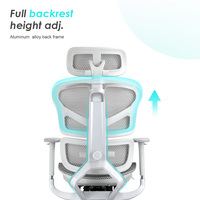 Milieu Du Dos Support Lombaire Fauteuil Visiteur Personnel De Travail Exécutif Ergonomique Chaise De Bureau