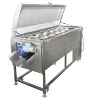 Machine à laver automatique pour fruits et légumes à bon prix, laveuse à brosses industrielle automatique pour fruits et légumes à vendre