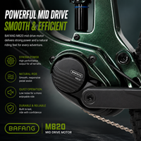 Bicicleta Eléctrica de Montaña de Fibra de Carbono con Motor Central de 36V 250W, Suspensión Completa, 12 Velocidades, Horquilla RockShox, Freno de Disco Hidráulico, OEM EMTB