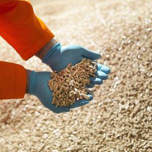 Machine à granulés de compost biomasse à moteur diesel automatique de 1 tonne, moulin à granulés de <span class=keywords><strong>bois</strong></span> - Product Image 5