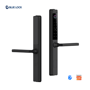 Cerradura Inteligente con Huella Dactilar a Prueba de Agua Bluelock, Compatible con TTLock para Acero/Aluminio/Madera, Cerradura Digital con Teclado y Contraseña Wi-Fi - Product Image 1