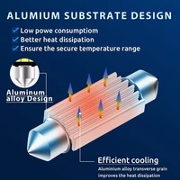 Led Festoon 41mm 39mm 36mm 31mm C5w Ampoule de lecture pour éclairage intérieur Lampe de plaque d'immatriculation Canbus Lampe de camping