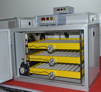 Incubateur automatique domestique pour œufs de poule et de caille, capacité de 120 à 500 œufs, petit incubateur éclosoir AC/DC