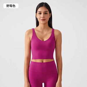 Sujetador Deportivo con Logotipo Personalizado en 15 Colores, Escote en V, Espalda Descubierta, con Relleno Fijo, para Yoga, Fitness, Entrenamiento Atlético - Product Image 3