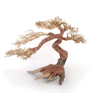 Cây cảnh <span class=keywords><strong>bonsai</strong></span> gỗ lũa trong bể cá lớn - Product Image 6