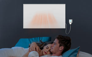 Panneau chauffant infrarouge de haute qualité pour la <span class=keywords><strong>maison</strong></span> - Product Image 6