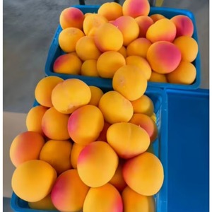 Jouet anti-stress créatif géant en forme de pêche jaune, à rebond lent, jouet de décompression en forme de fruit simulé, vente en gros - Product Image 2