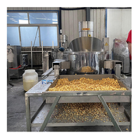 Machine à Popcorn Commerciale Industrielle Automatique Grande Capacité 75-80kg/h pour Champignons, Fournisseur Chinois