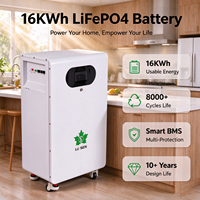 Batterie au lithium personnalisée 51,2 V 314 Ah certifiée 16 kWh pour système de stockage d'énergie solaire domestique