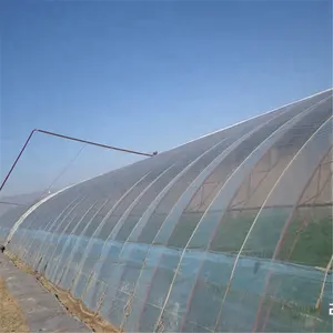 效果好抗紫外线透明温室薄膜，低成本48英尺隧道蔬菜温室薄膜