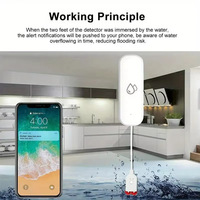 Capteur de niveau d'immersion d'eau intelligent WiFi Tuya pour cuisine et salle de bain avec détection de fuite et alarme de débordement