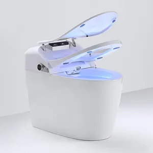 110V/220V潮州工厂自洁电子自动虹吸陶瓷wc马桶带坐浴盆智能智能马桶