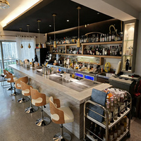 Comptoir de bar en acier inoxydable sur mesure avec vitrine réfrigérée pour bar à cocktails, boîte de nuit, bistrot, pub – Solution tout-en-un