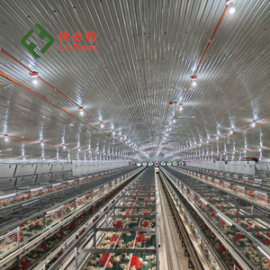 อุปกรณ์เลี้ยงไก่แบบอัตโนมัติ กรงไก่เนื้อสำหรับขาย - Product Image 3