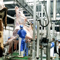 Línea Industrial de Sacrificio de Ganado, Máquina de Sacrificio Halal de Acero Inoxidable 304 para Mataderos