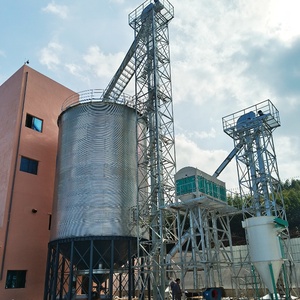 Hoogwaardige Thermisch Gegalvaniseerde Aanpasbare Verticale Graanemmerlift Tegen Fabrieksprijs - Product Image 3