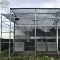 Serre à vendre avec couverture en plaques de polycarbonate de 8 mm