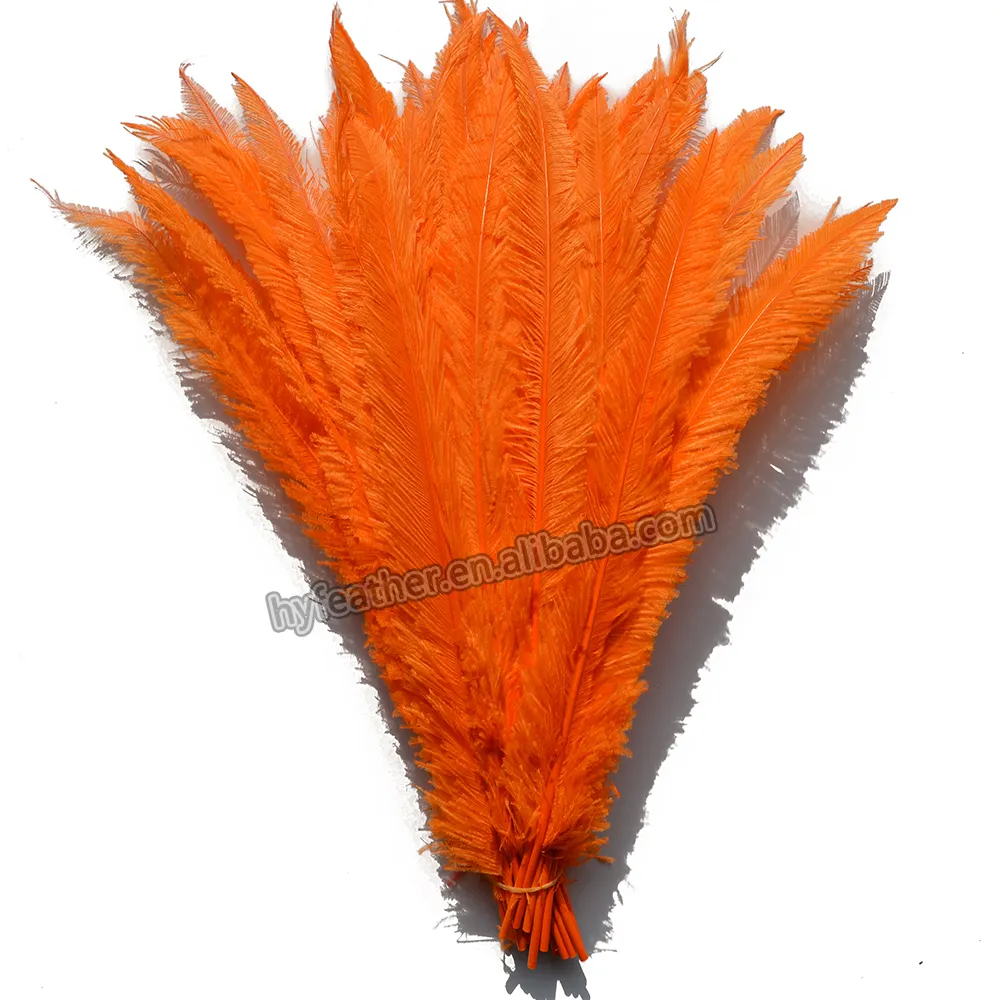 Dyed Ostrich Feather Nandu for Carnival Headpieces Costumes ostrich feathers for decoration