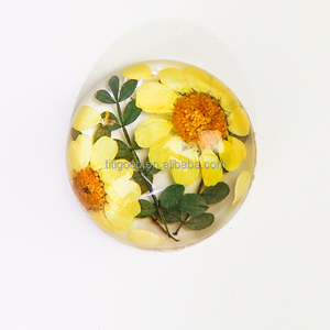 Espécimen de resina Planta Espécimen Decoración Artesanía Rectángulo personalizado Resina transparente Flor Planta Pisapapeles - Product Image 3